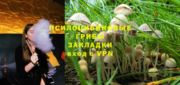 ПСИЛОЦИБИНОВЫЕ ГРИБЫ Алексеевка