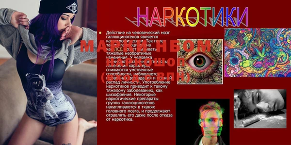 стаф Алексин