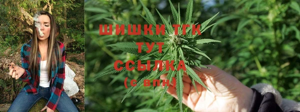 ПСИЛОЦИБИНОВЫЕ ГРИБЫ Алексеевка