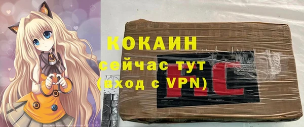 стаф Алексин