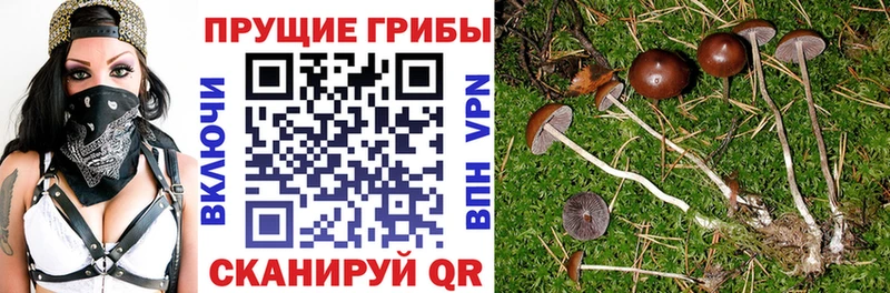 Галлюциногенные грибы мицелий  наркота  Бахчисарай 